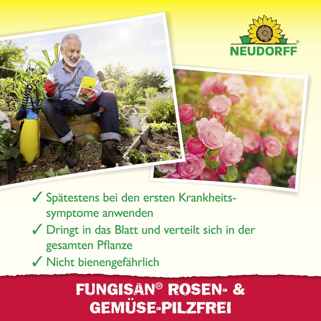 Fungisan Rosen- und Gemüse-Pilzfrei 16 ml