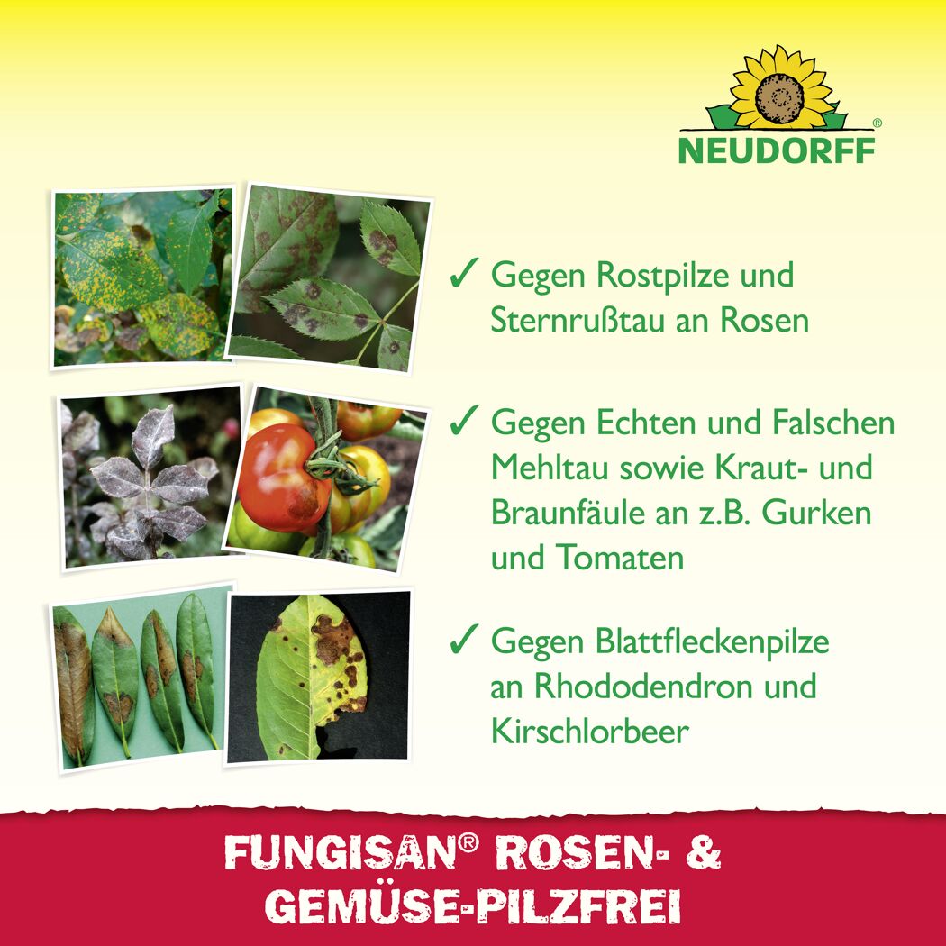 Fungisan Rosen- und Gemüse-Pilzfrei 16 ml