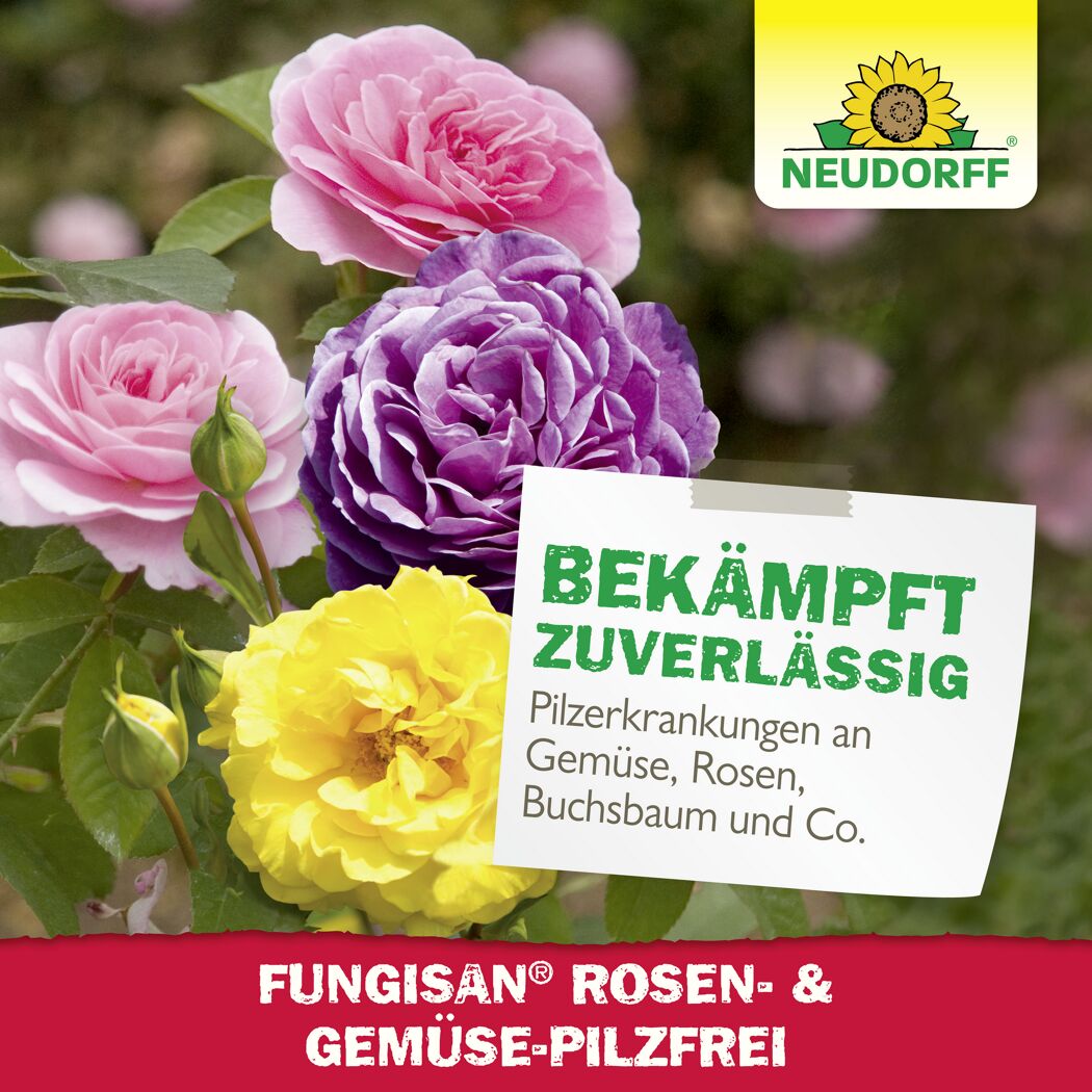 Fungisan Rosen- und Gemüse-Pilzfrei 16 ml