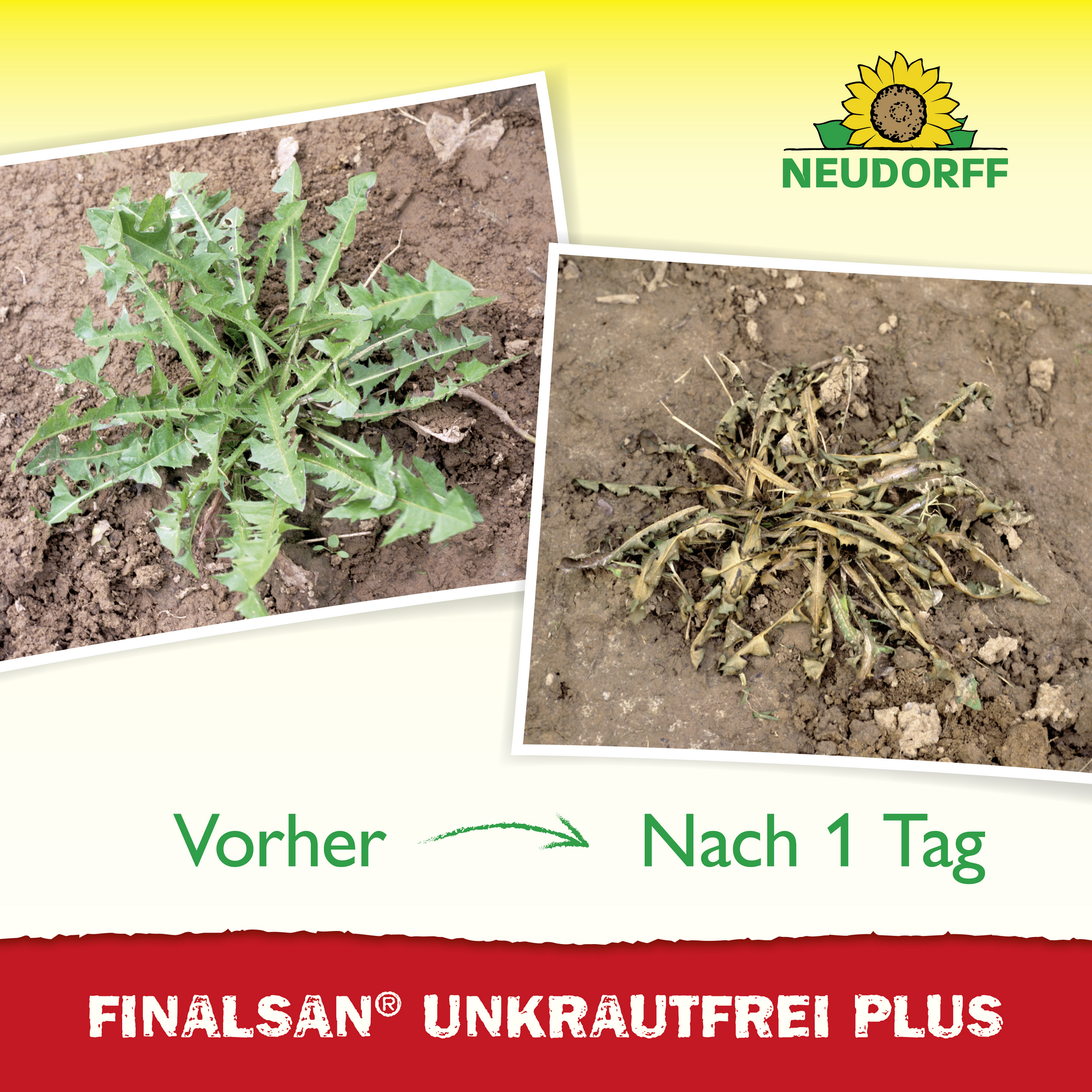 Finalsan Unkrautfrei Plus 1 l