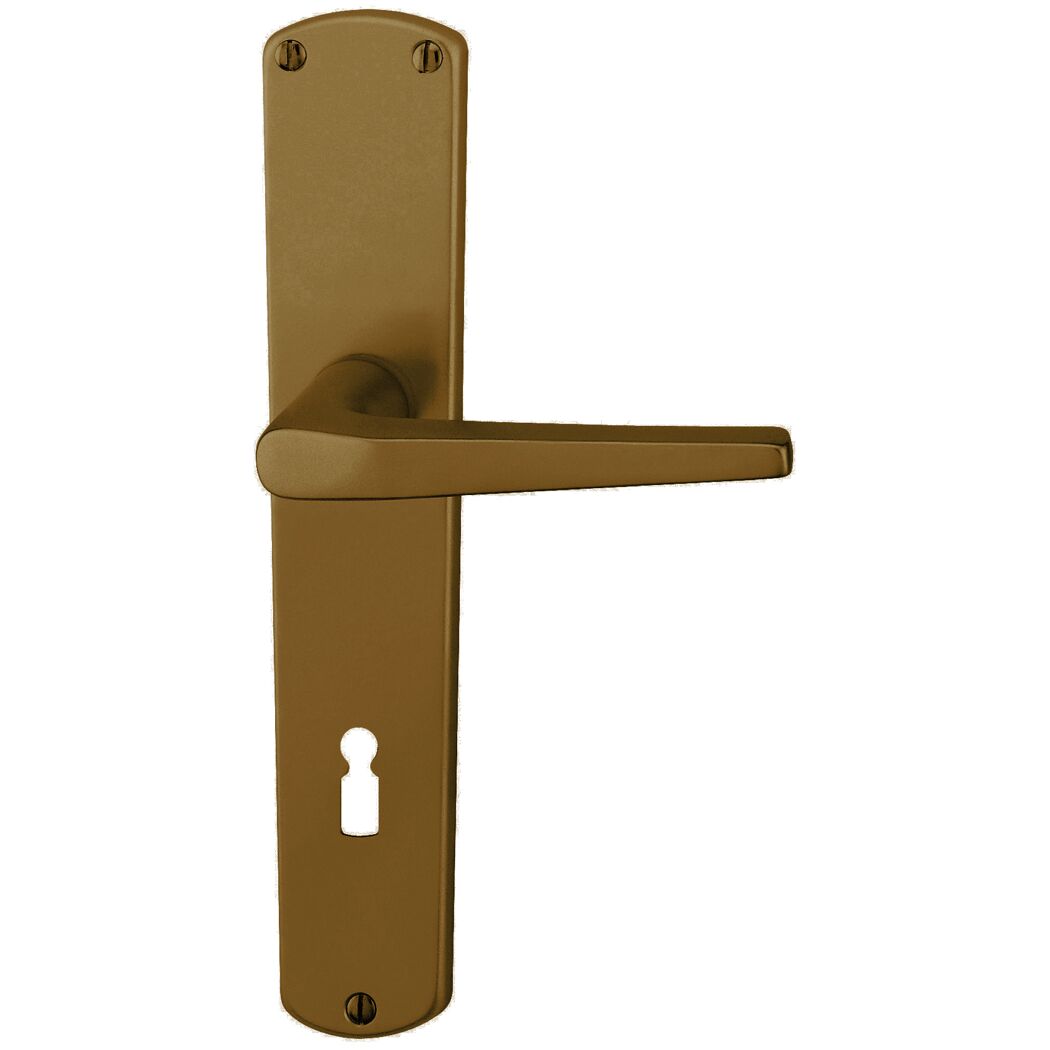 Türklinke in Bronzeoptik mit Schlüsselloch