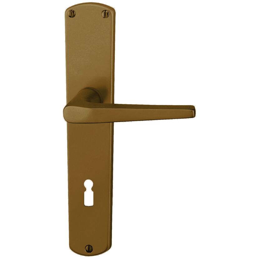Türklinke in Bronzeoptik mit Schlüsselloch
