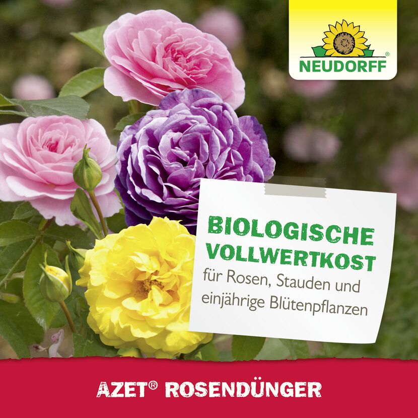 Rosendünger 'Azet' 1,75 kg