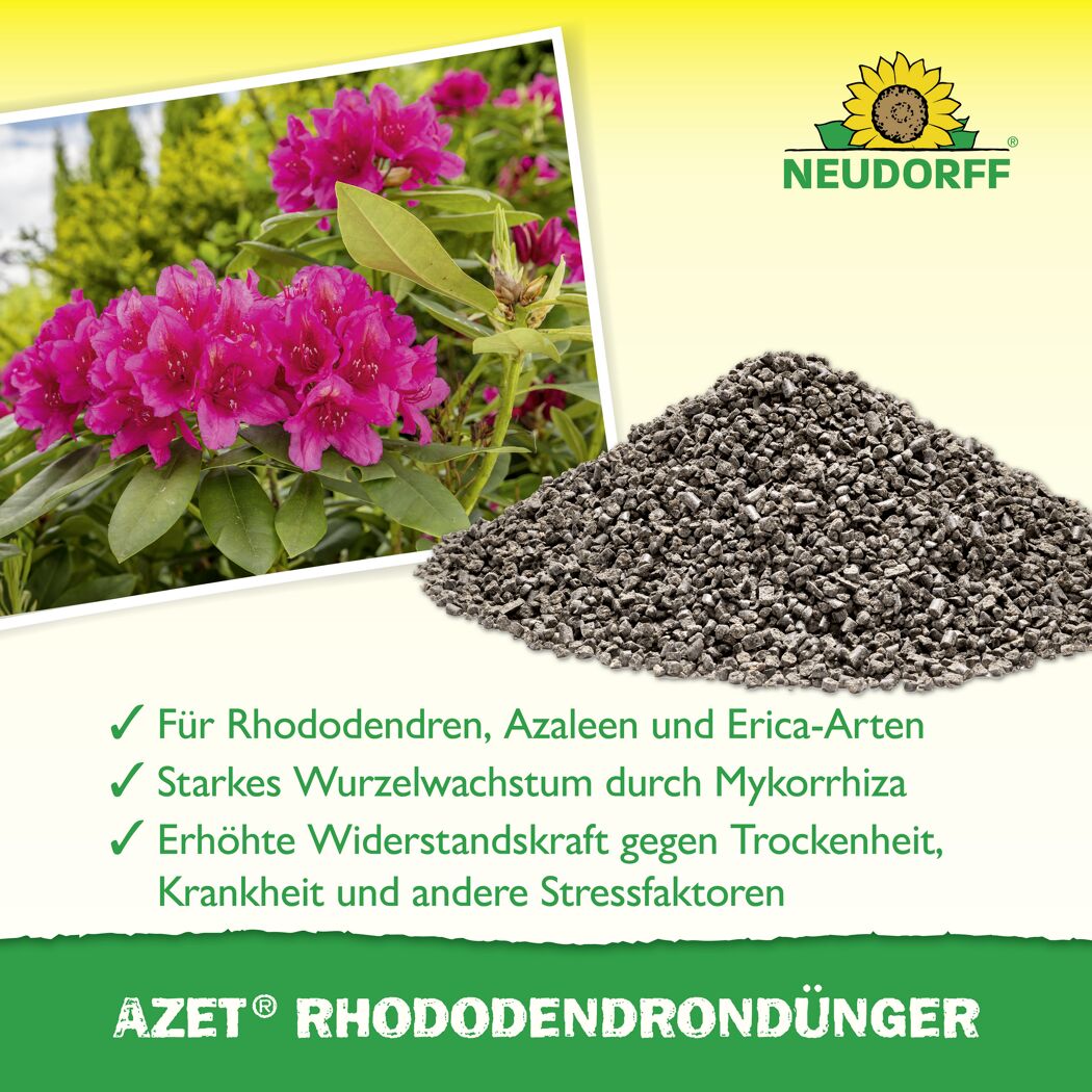 Rhododendrondünger 'Azet' 1,75 kg