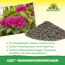 Rhododendrondünger 'Azet' 1,75 kg