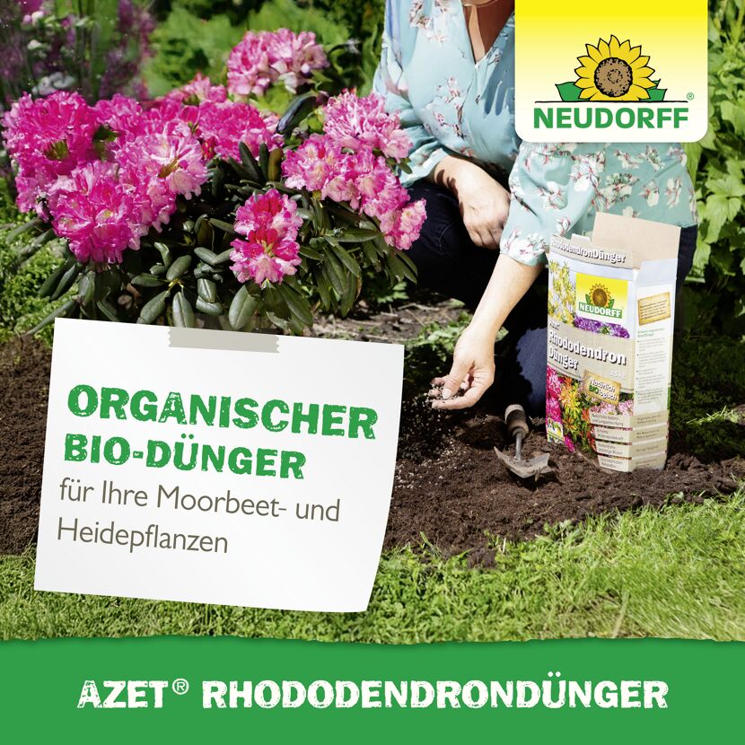 Rhododendrondünger 'Azet' 1,75 kg