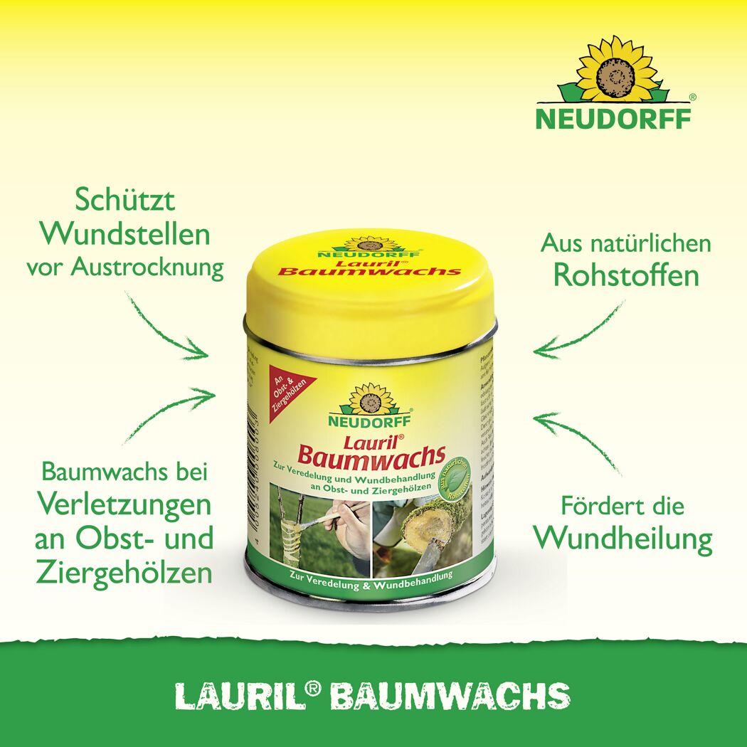 Lauril Baumwachs 125 g