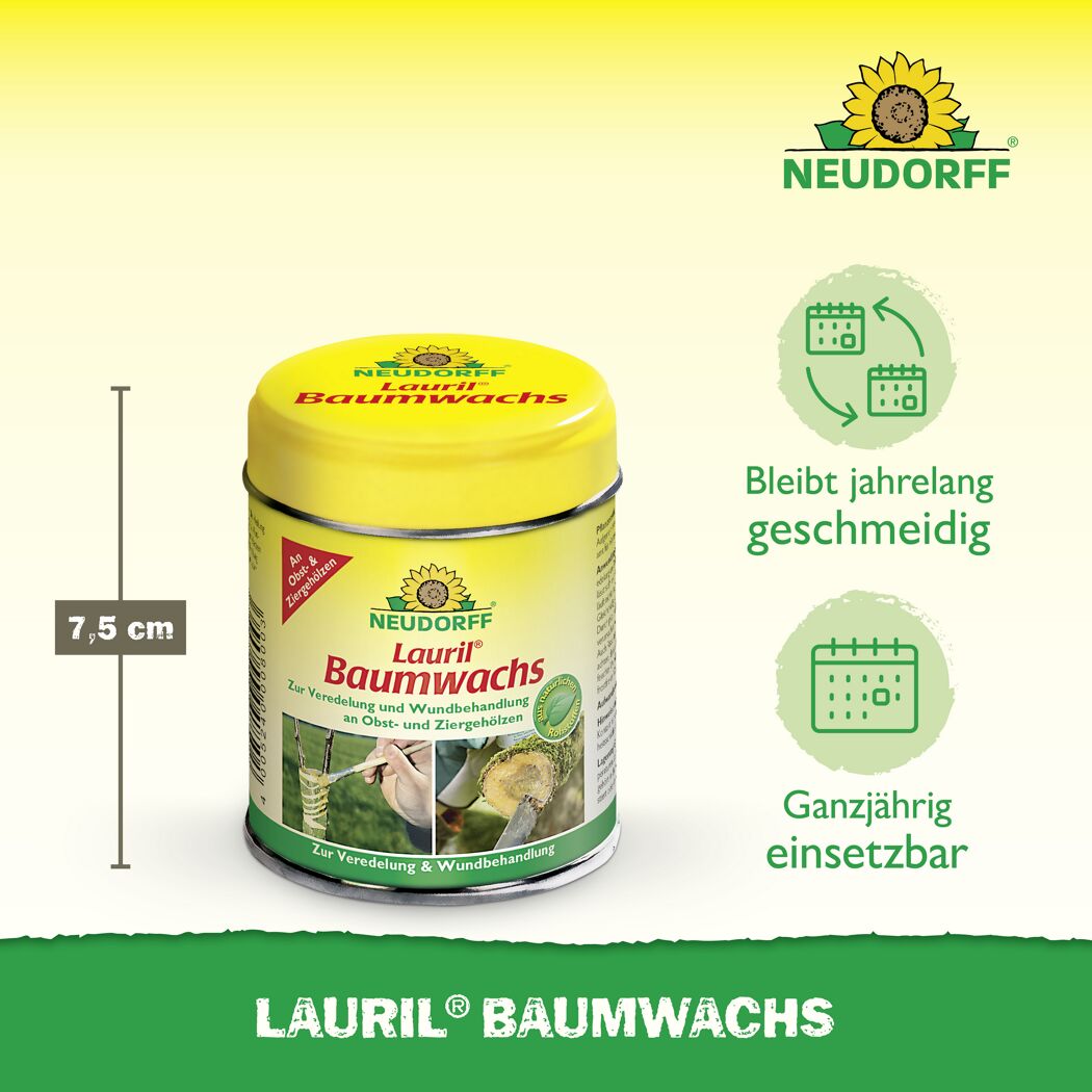 Lauril Baumwachs 125 g