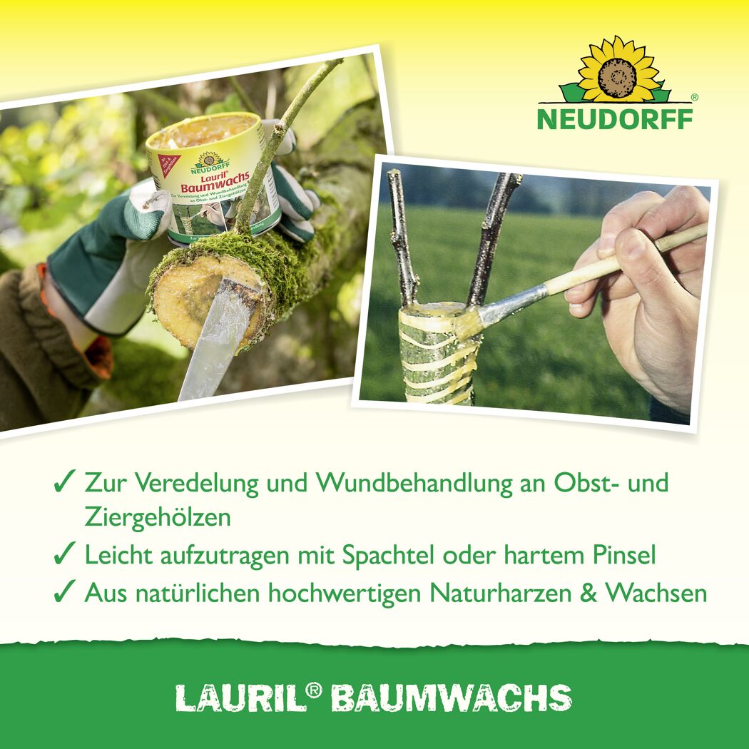 Lauril Baumwachs 125 g