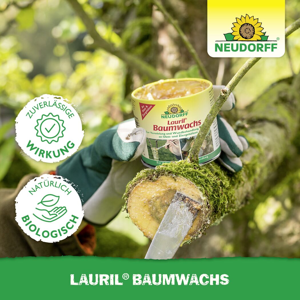 Lauril Baumwachs 125 g