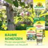 Lauril Baumwachs 125 g