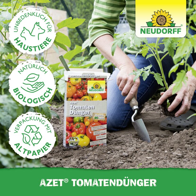 Tomatendünger 'Azet' 1,75 kg