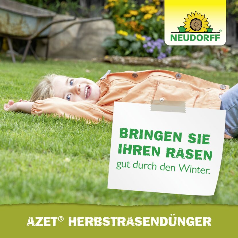 Herbst-Rasendünger 'Azet' 10 kg