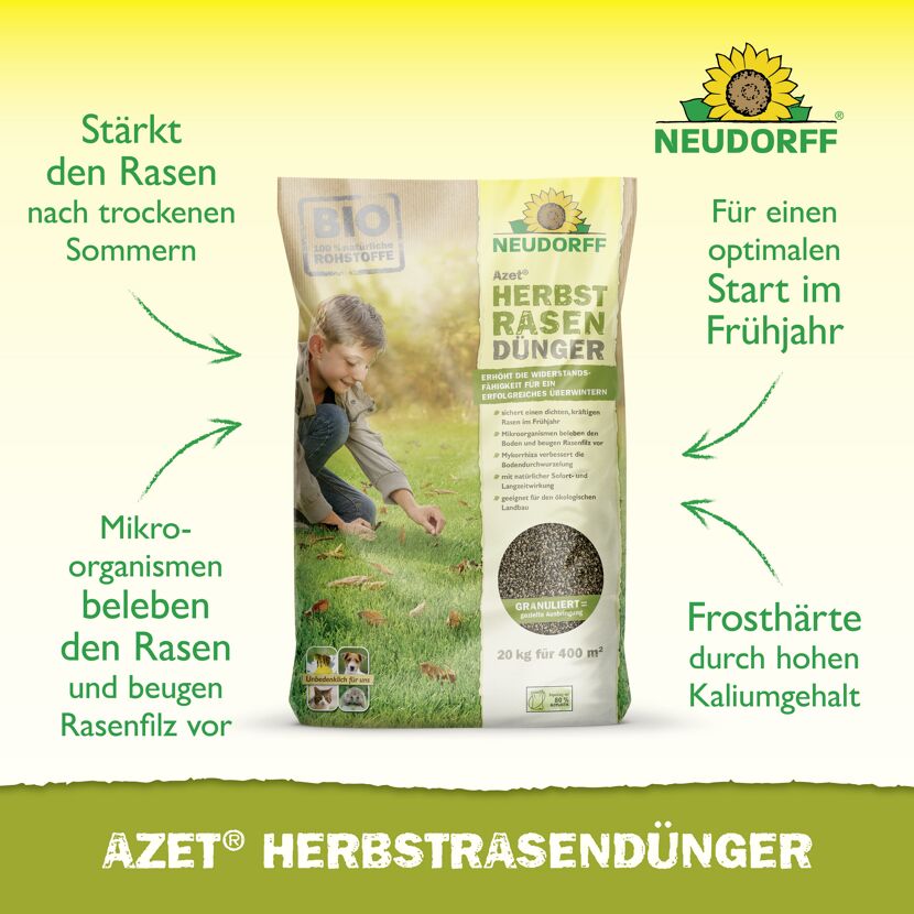 Herbst-Rasendünger 'Azet' 20 kg