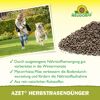 Herbst-Rasendünger 'Azet' 20 kg