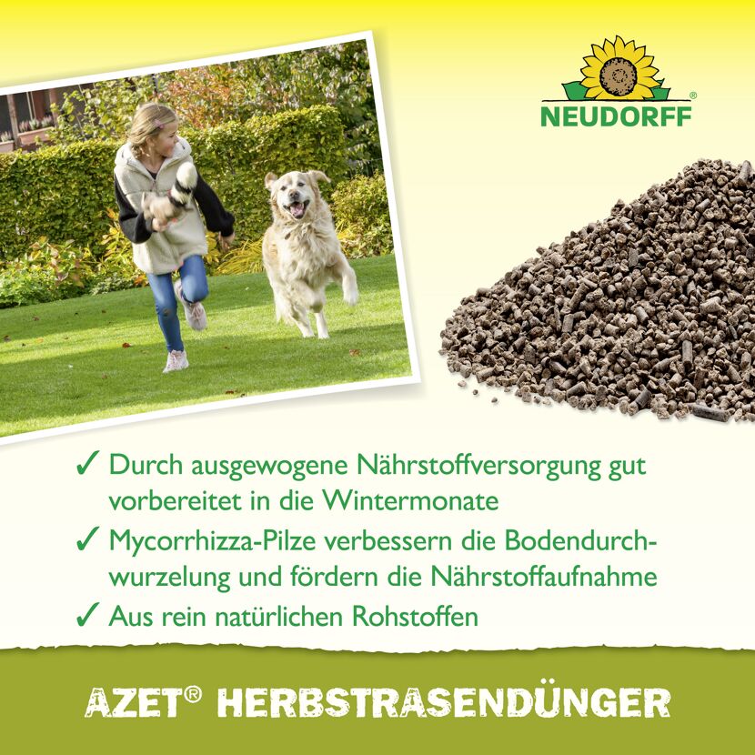 Herbst-Rasendünger 'Azet' 20 kg