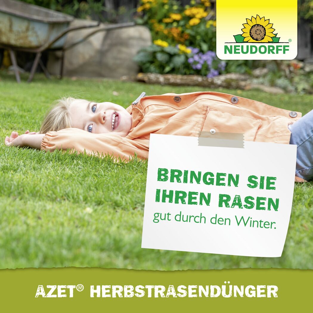 Herbst-Rasendünger 'Azet' 20 kg