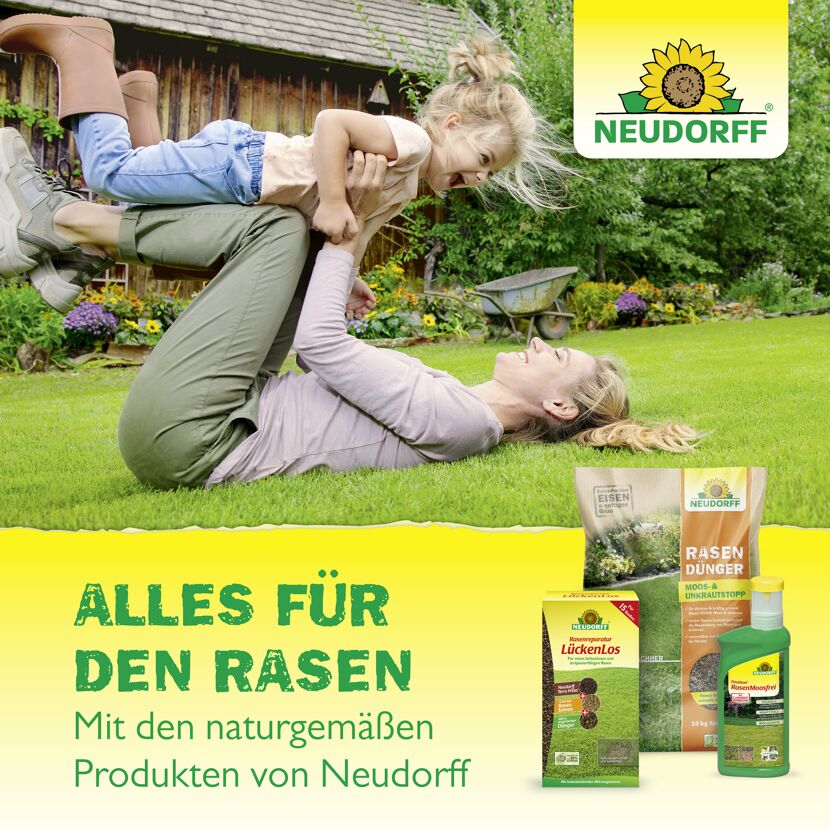 Herbst-Rasendünger 'Azet' 20 kg