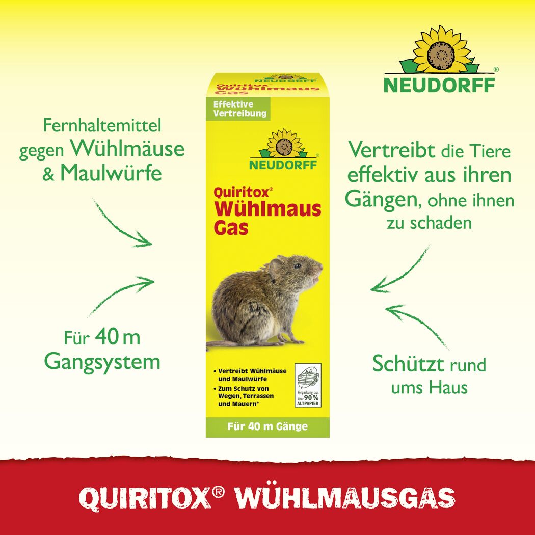 Quiritox Wühlmausgas