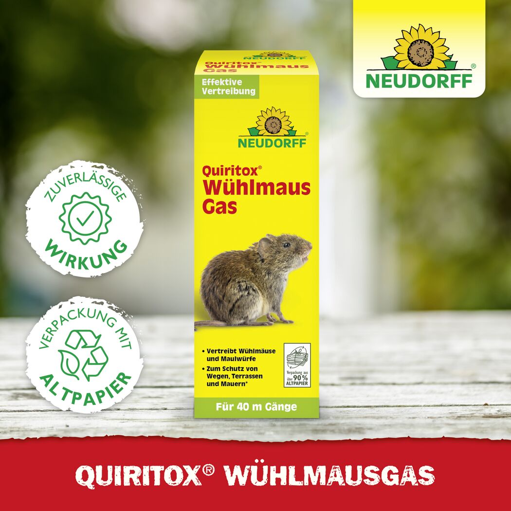 Quiritox Wühlmausgas