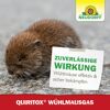 Quiritox Wühlmausgas