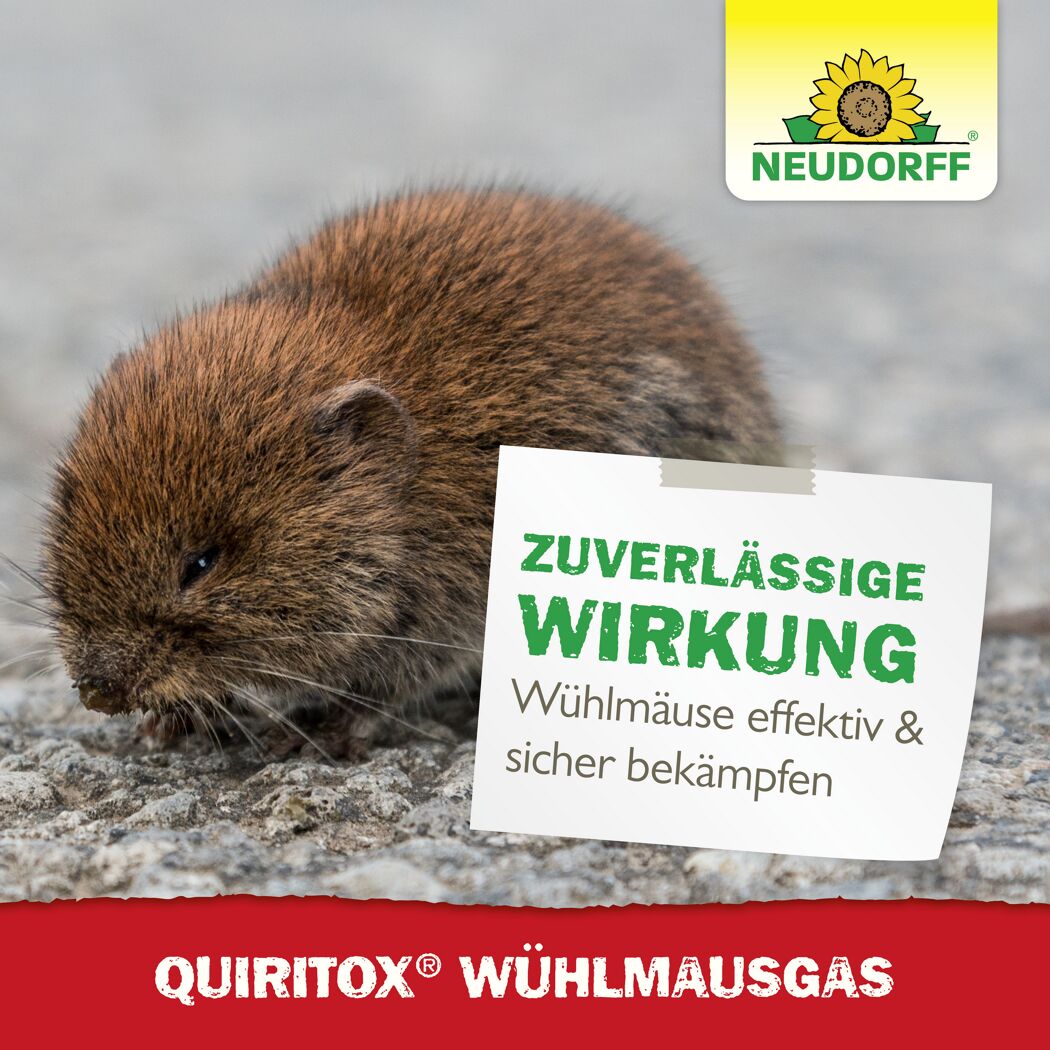 Quiritox Wühlmausgas