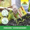 Ferramol Schneckenkorn 1 kg