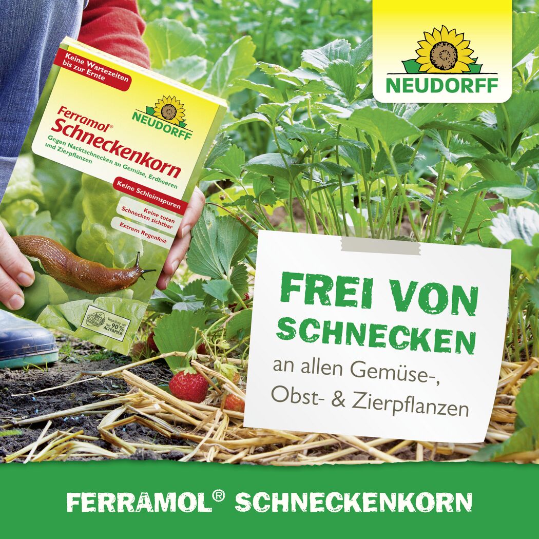 Ferramol Schneckenkorn 1 kg