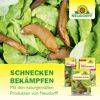 Ferramol Schneckenkorn 1 kg