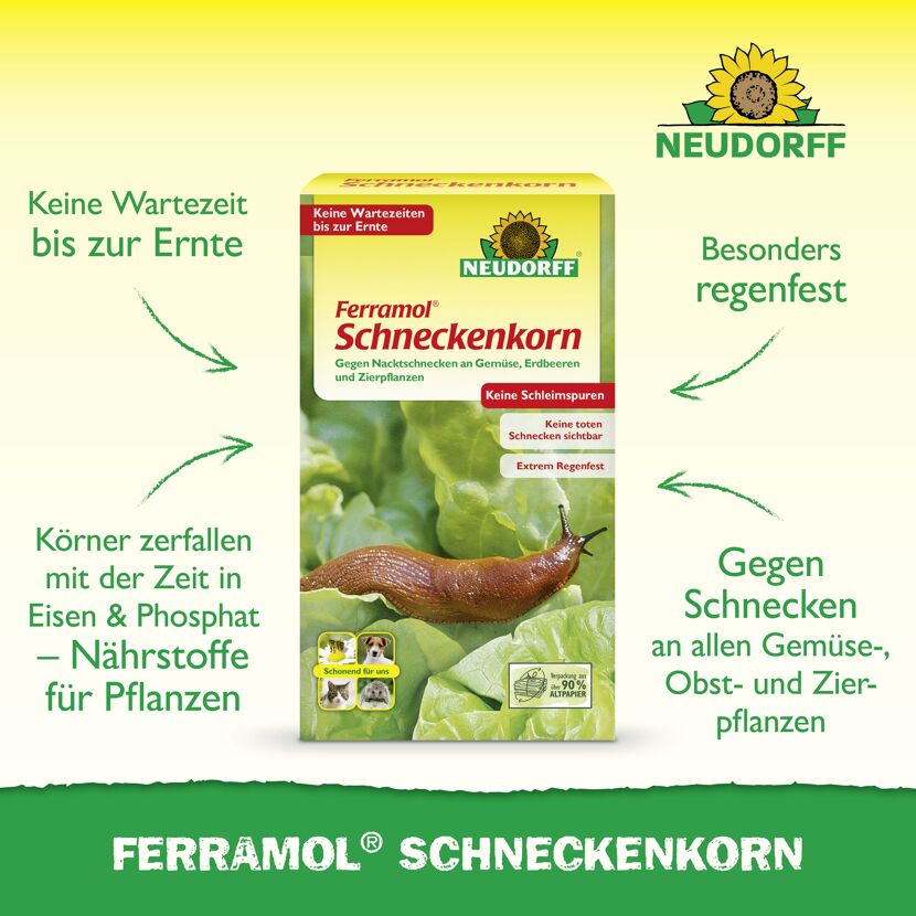 Ferramol Schneckenkorn 500g