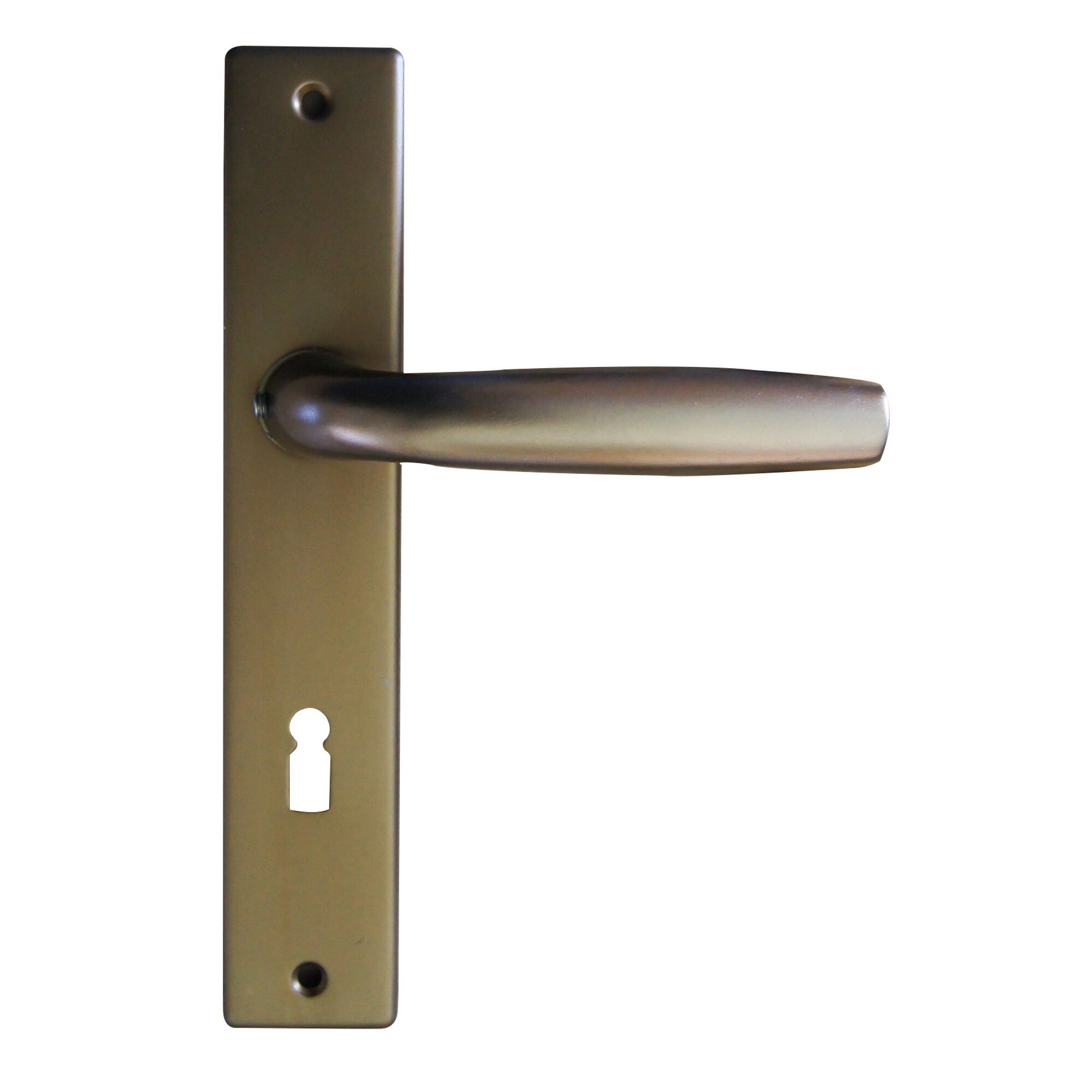 Türklinke mit Langschild in Gold