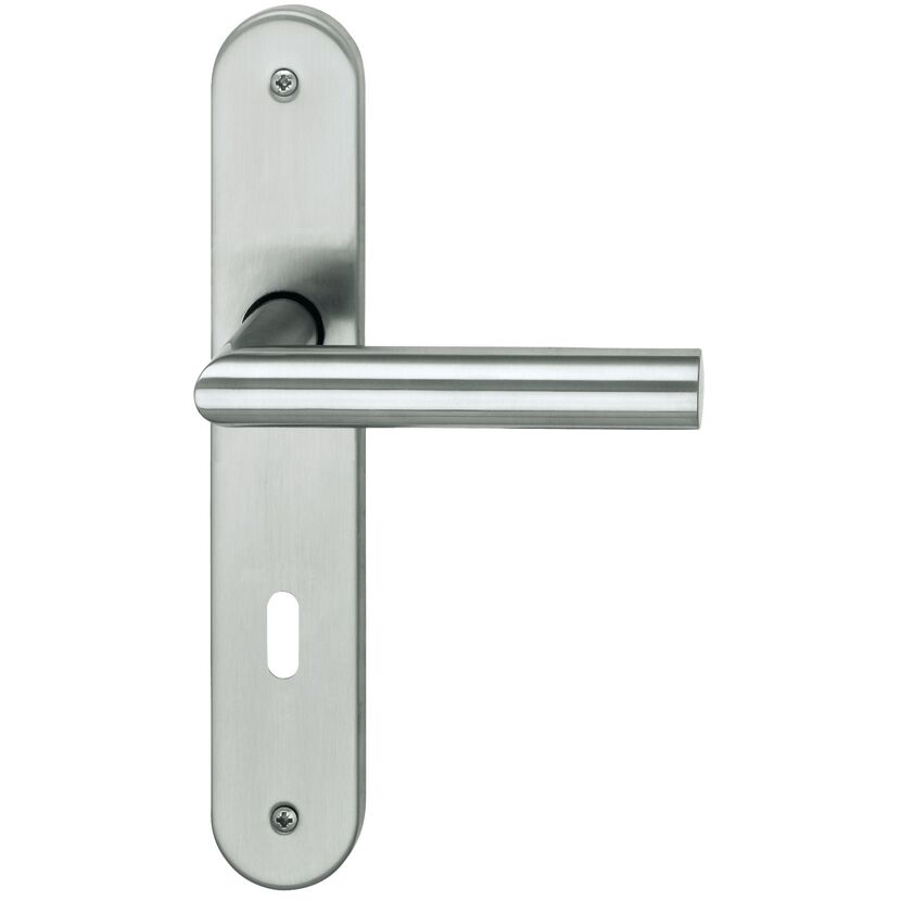 Türklinke aus Metall mit Langschild