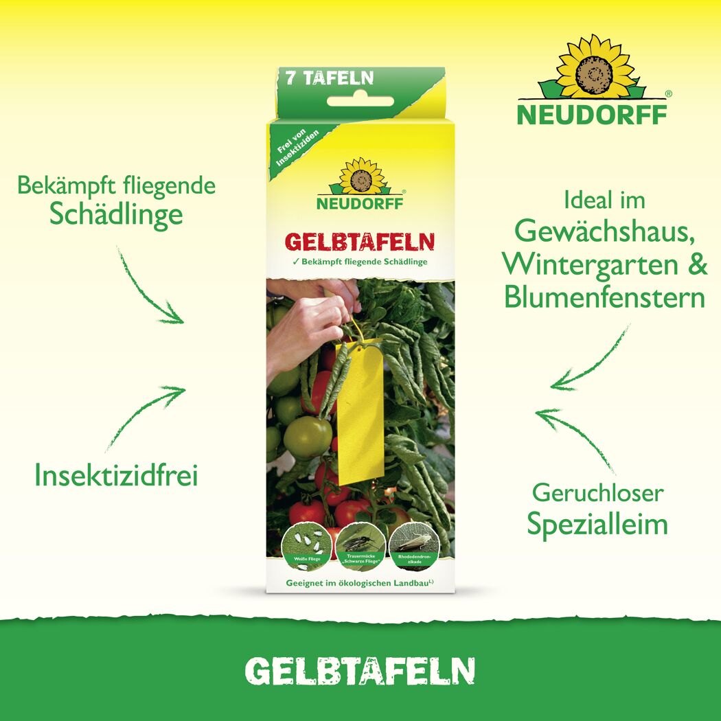 Gelbtafeln 7 Stück