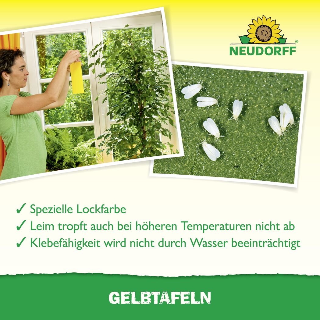 Gelbtafeln 7 Stück