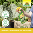 Pronamel AF Schild- und Wolllausfrei 500 ml