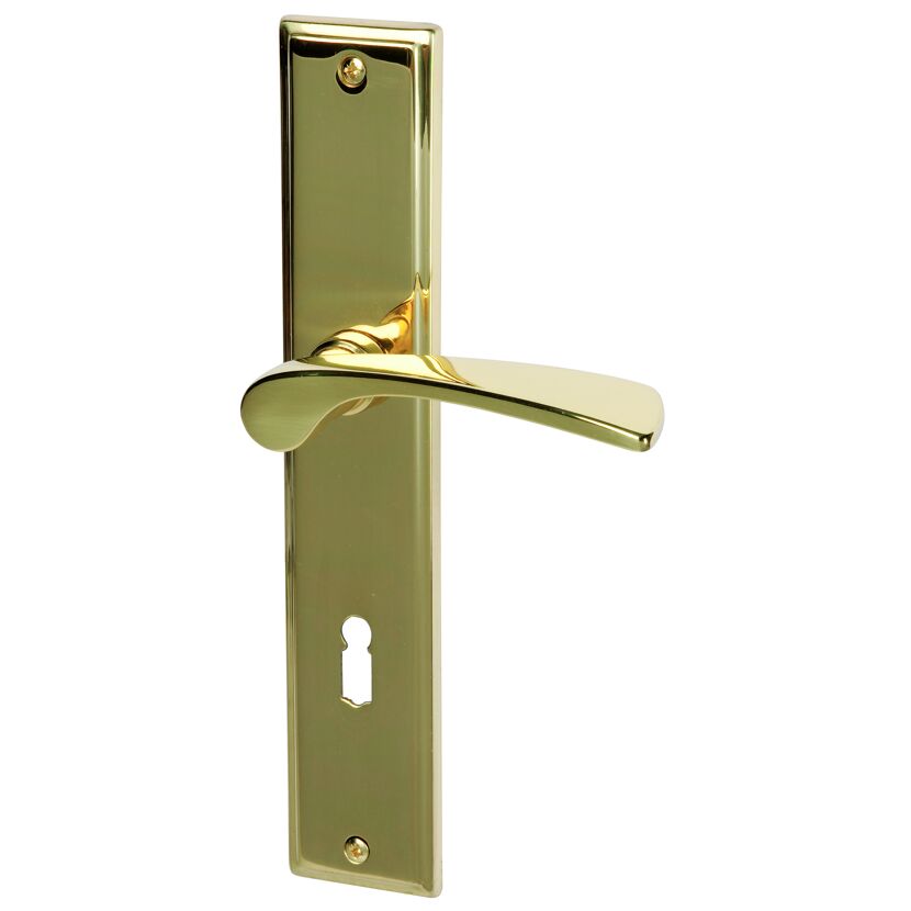 Goldene Türklinke mit Langschild und Schlüsselloch.
