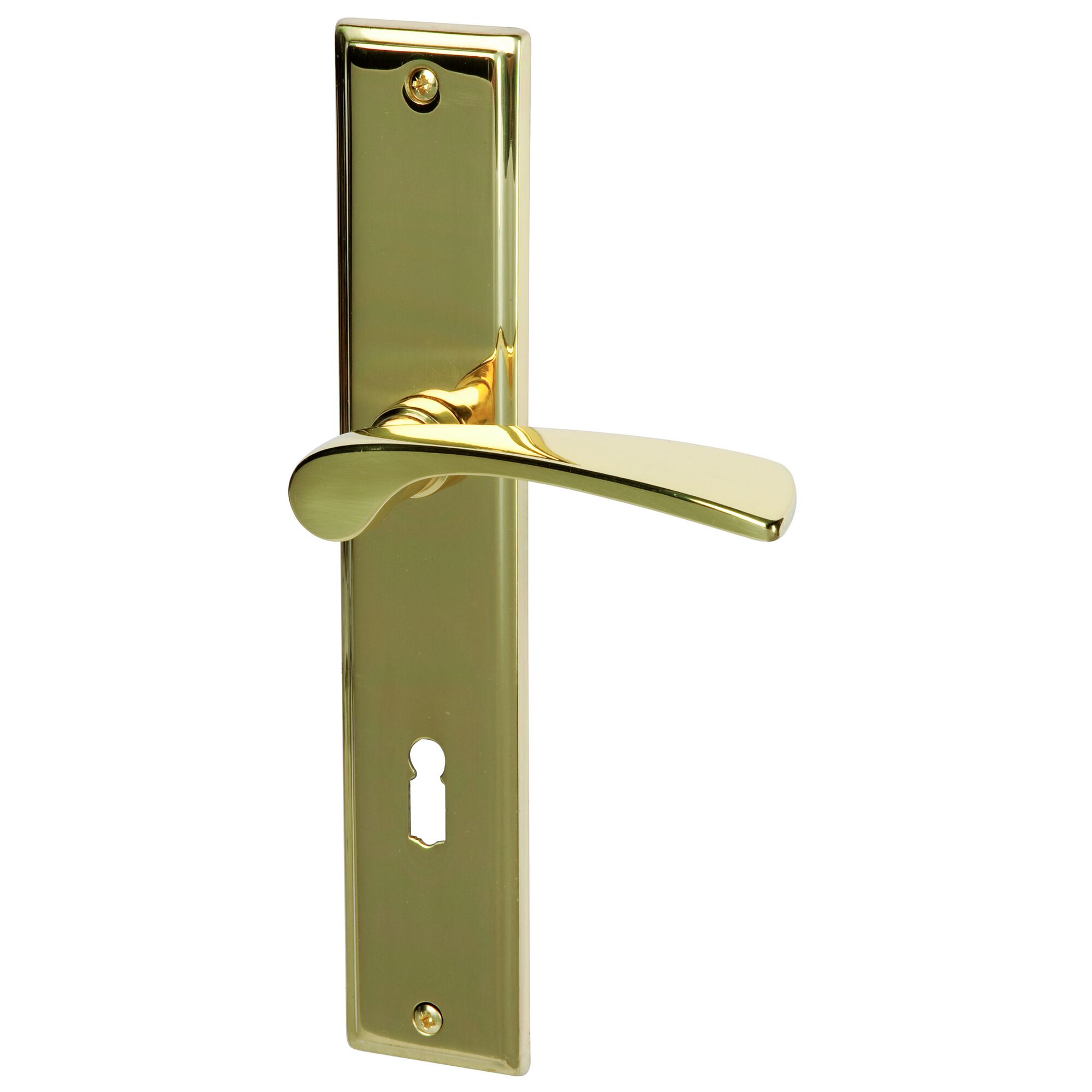Goldene Türklinke mit Langschild und Schlüsselloch.