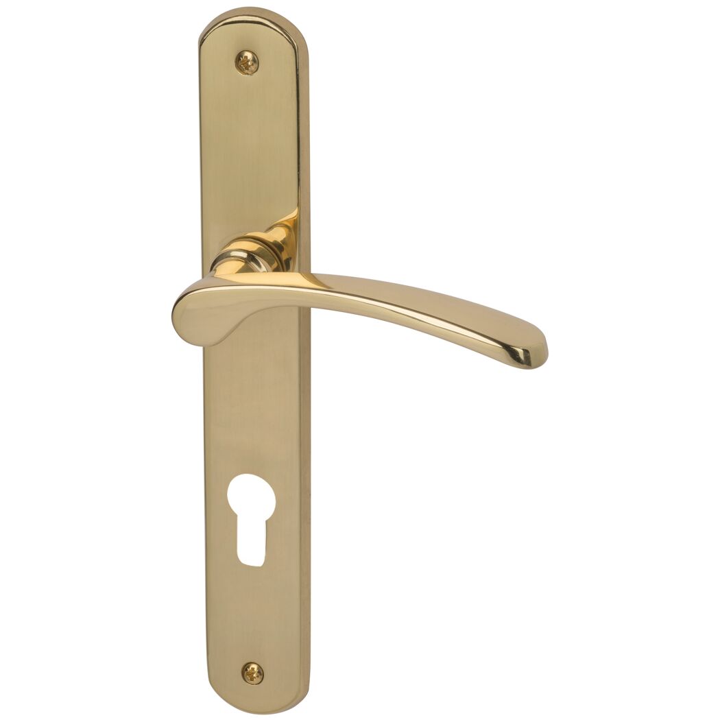 Goldene Türklinke mit Schlüsselloch
