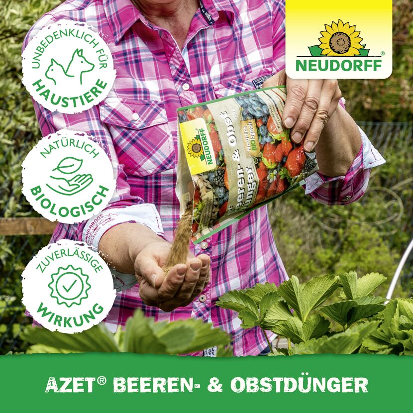 Beeren- und Obstdünger 'Azet' 2,5 kg