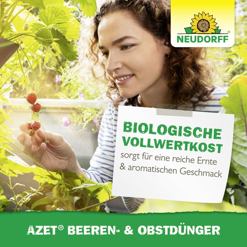 Beeren- und Obstdünger 'Azet' 2,5 kg
