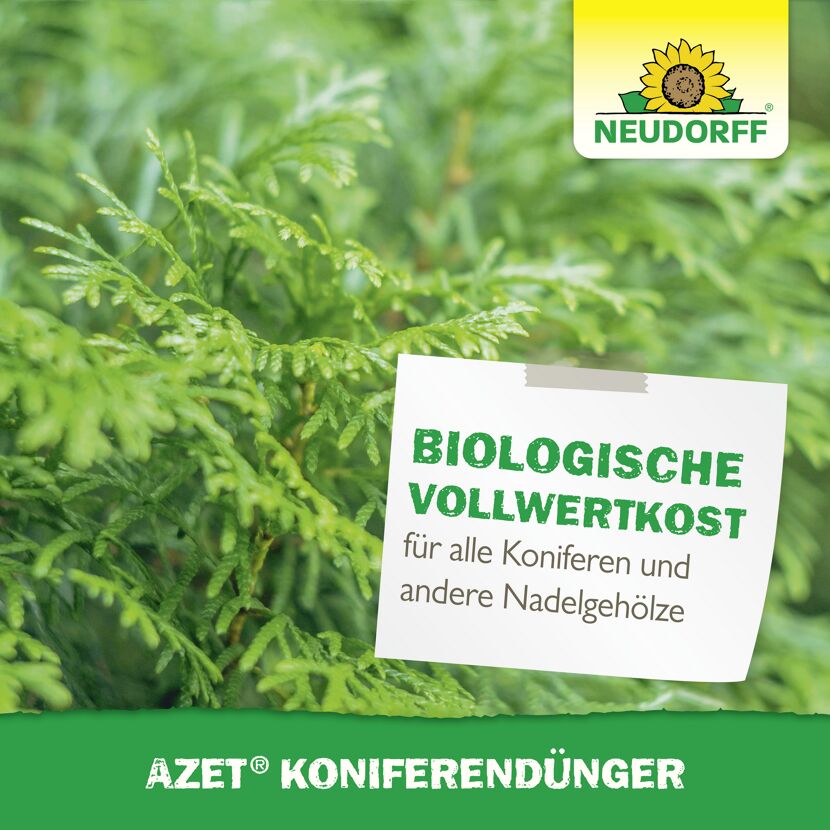 Koniferendünger 'Azet' 2,5 kg