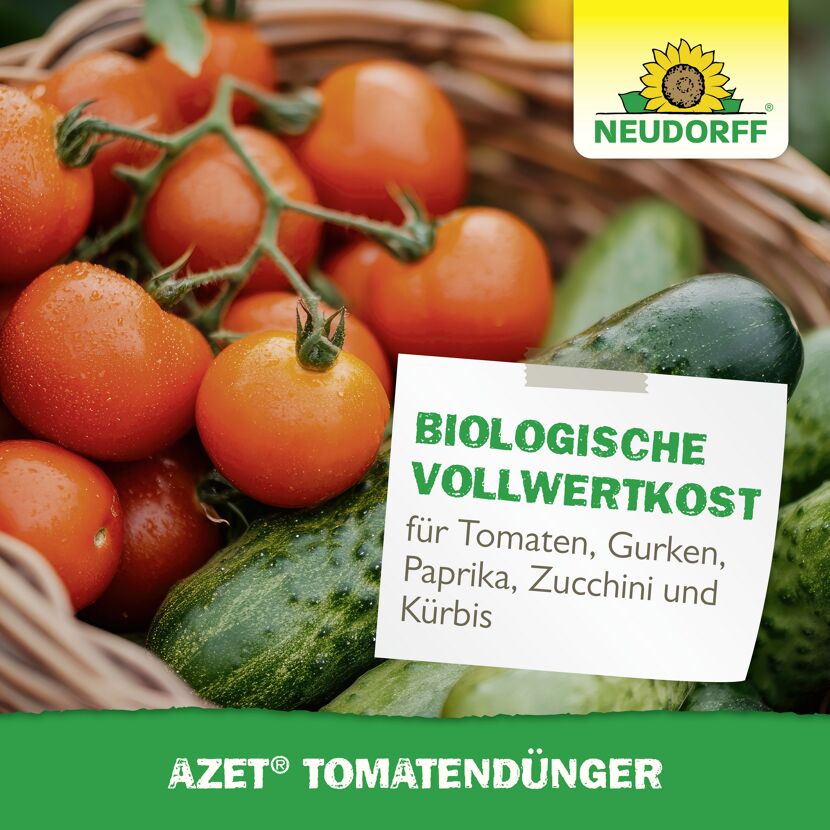 Tomatendünger 'Azet' 2,5 kg