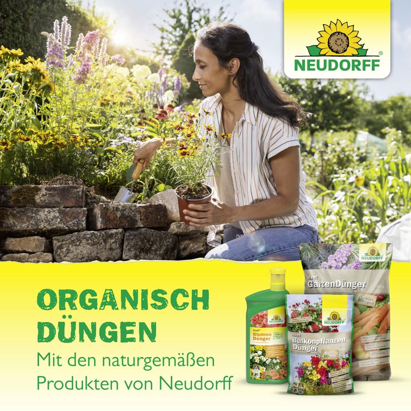 Tomatendünger 'Azet' 2,5 kg