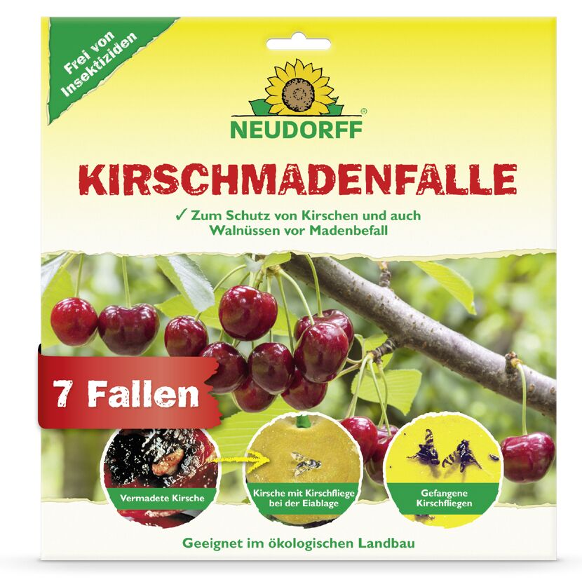Kirschmaden-Falle 7 Stück