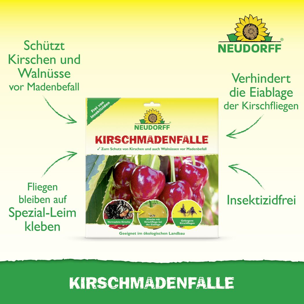 Kirschmaden-Falle 7 Stück
