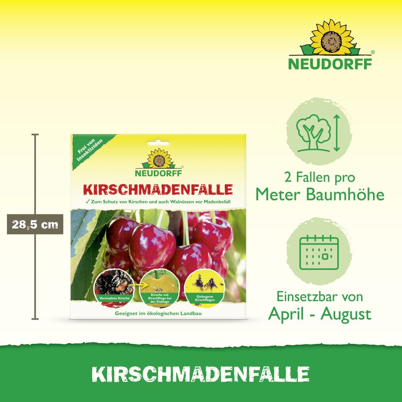 Kirschmaden-Falle 7 Stück