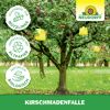 Kirschmaden-Falle 7 Stück