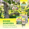 Kirschmaden-Falle 7 Stück