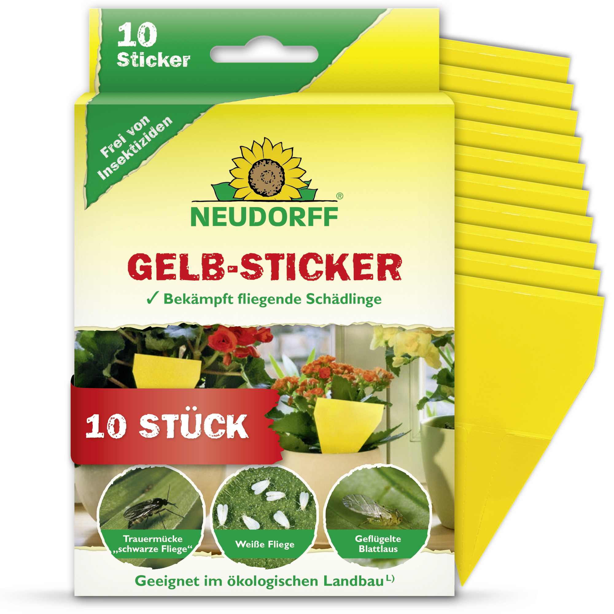 Gelb-Sticker Klebefalle 10 Stück