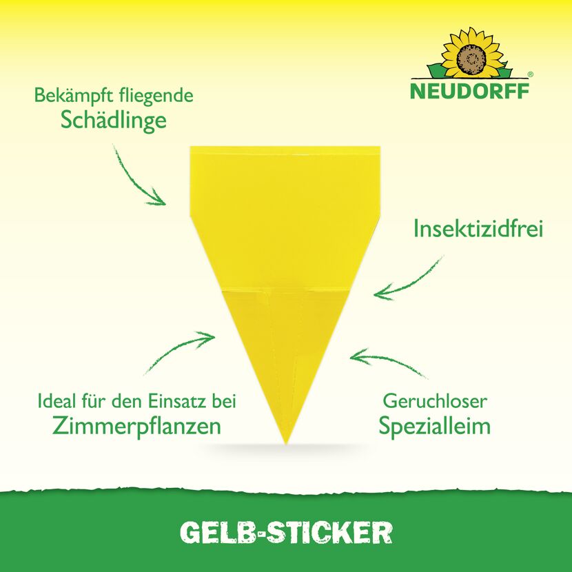Gelb-Sticker Klebefalle 10 Stück